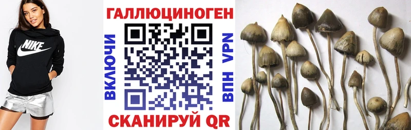 Псилоцибиновые грибы GOLDEN TEACHER Кубинка