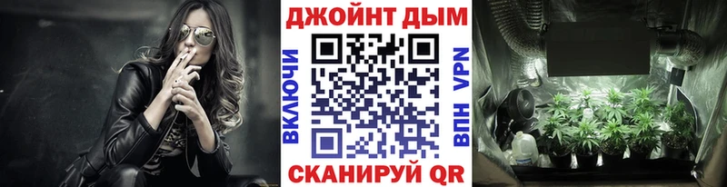 где купить наркоту  Кубинка  ОМГ ОМГ зеркало  Бошки марихуана сатива 